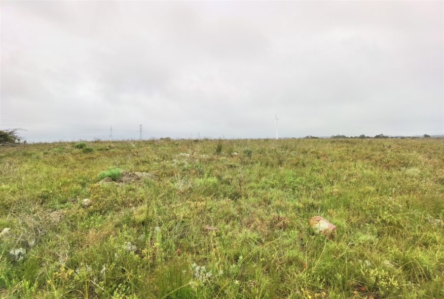 0 Bedroom Property for Sale in Kabeljauws Eastern Cape